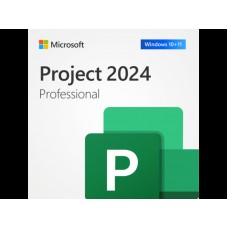 Project 2024 Professional